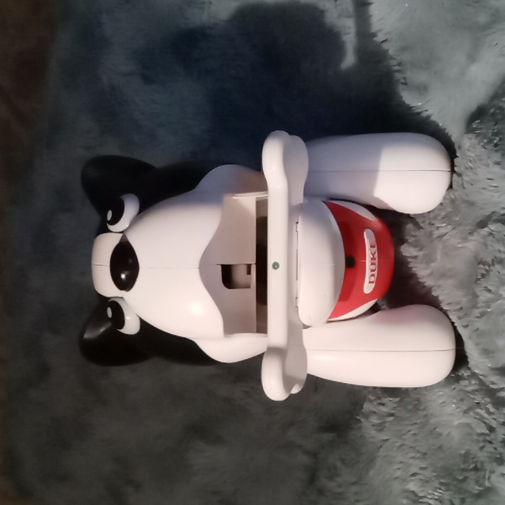 Duke voice activated dog